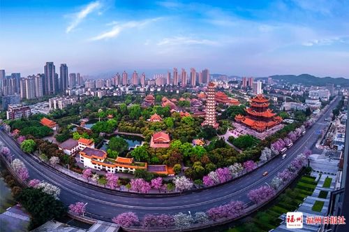 解读来了 福州发布鼓励就业创业七条措施