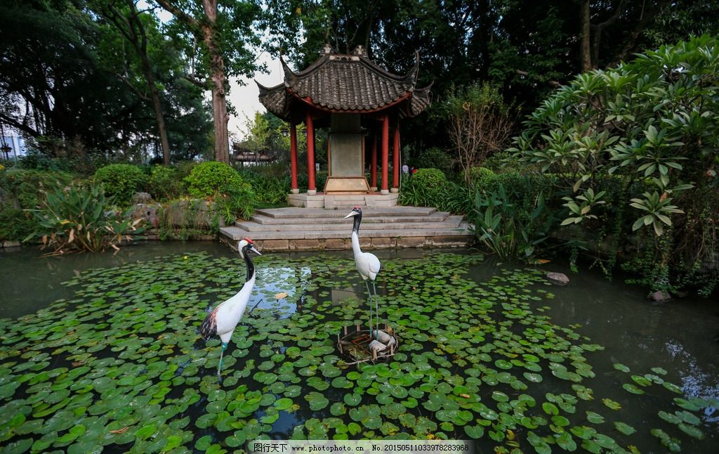 福州西湖公园图片