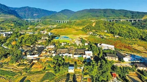 福州又一大片荷花绽放,美得冒泡 打卡古厝,周末乡村游走起